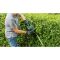 Кущоріз електричний Bosch UniversalHedgeCut 60 (06008C0703)