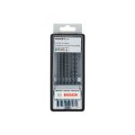Набор пильных полотен Bosch Robust Line Metal Profile (6 шт.) (2607010573)