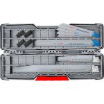 Набір пиляльних полотен Bosch Pro Demolition Blade Set в ToughBox 150-300 мм, 16 шт (2607011822)