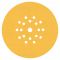 Шліфувальний круг Bosch Expert C470 225 мм, зерно 80, 25 шт (2608901148)