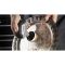 Диск PC366-3 для Dremel Versa, 3 шт (2615P366JA)