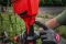 Насос для перекачки води акумуляторний MILWAUKEE, M18 BLSWP-0 (каркас) (4933498559)