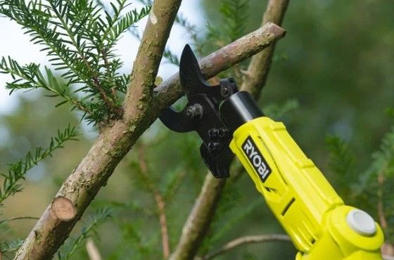 Сучкоріз телескопічний акумуляторний RYOBI RY18PLA-0, ONE+ 18В, 32мм, 250Нм (каркас, плечовий ремінь) (5133004575)