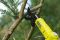 Сучкоріз телескопічний акумуляторний RYOBI RY18PLA-0, ONE+ 18В, 32мм, 250Нм (каркас, плечовий ремінь) (5133004575)