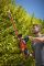 Кущоріз електричний BLACK+DECKER BEHTS551