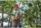 Пила ланцюгова акумуляторна безщіткова DeWALT DCMCS575X1