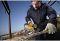 Пила лобзикова акумуляторна DeWALT DCS331N