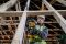 Пилка шабельна акумуляторна безщіткова DeWALT DCS369P2