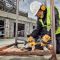 Шліфмашина кутова болгарка мережева безщіткова DeWALT DWE4357