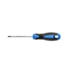 HOEGERT Викрутка Torx T25, 100 мм, сталь S2 (HT1S056)