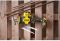 Пила шабельна акумуляторна STANLEY FATMAX SFMCS305B